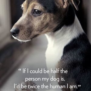 Meet your Posher, Cody